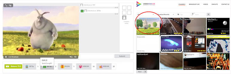 直播视频 - 直播：Html5、Webrtc、Hls、Rtsp、Rtmp