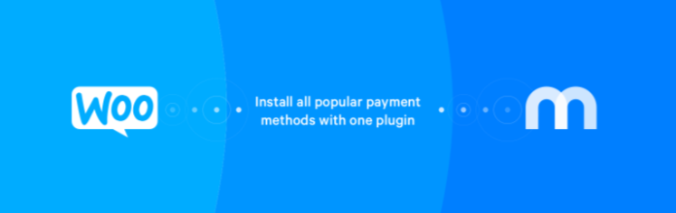 Płatności Mollie dla Woocommerce