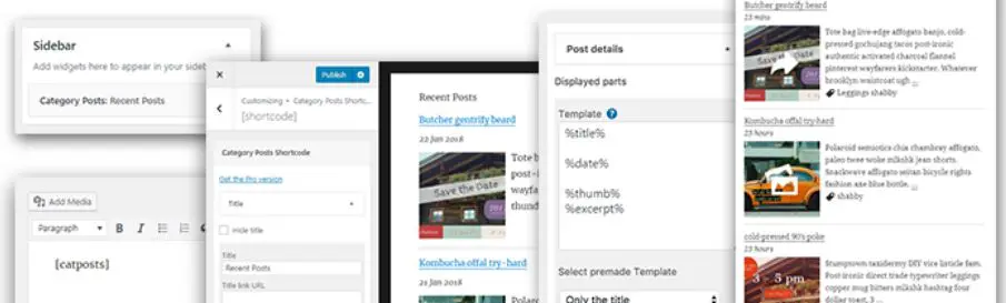 Widget pentru postări din categorii