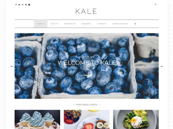 Wordpress-Food-テーマ