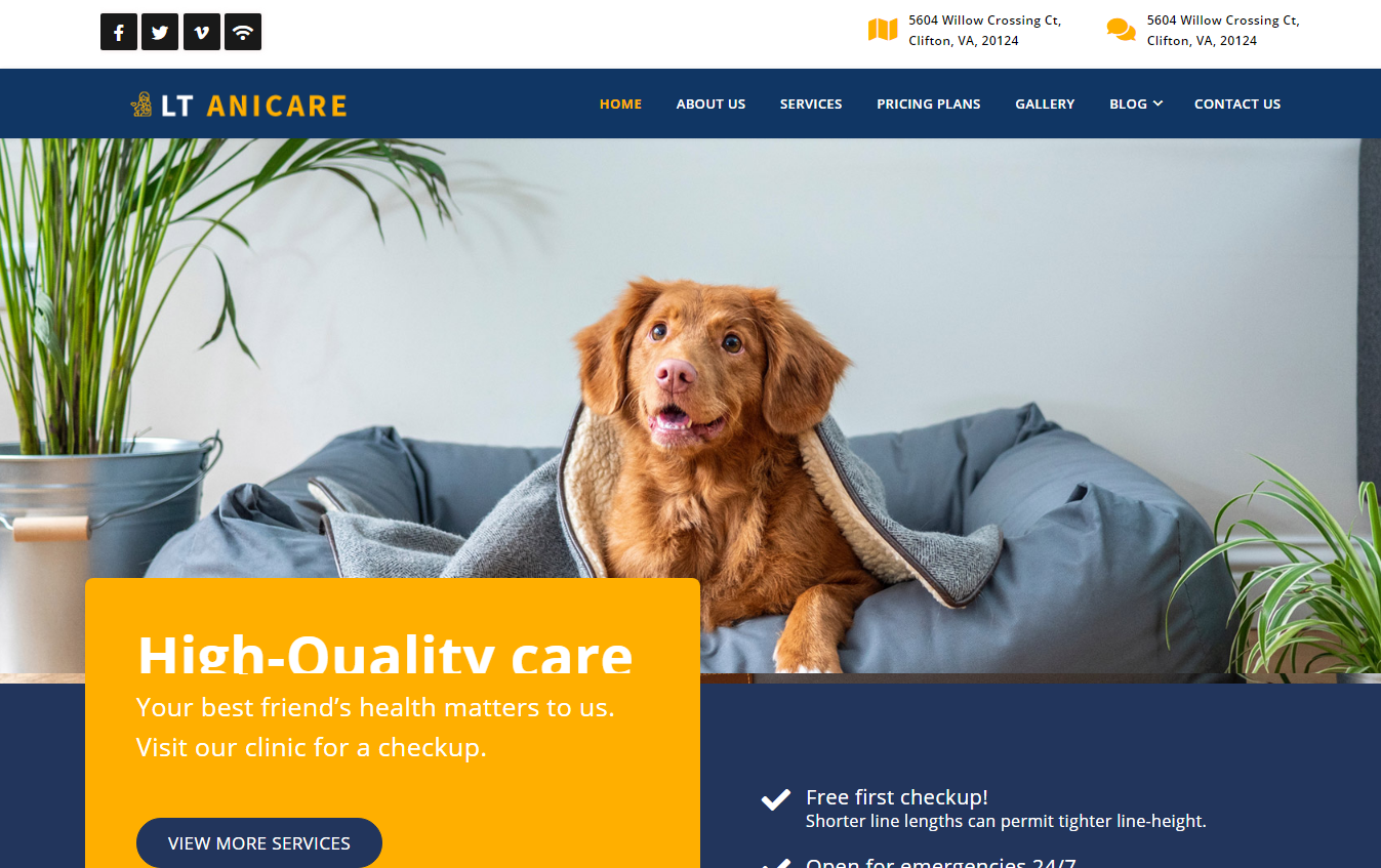 Wordpress-Salute-e-Temi-medici