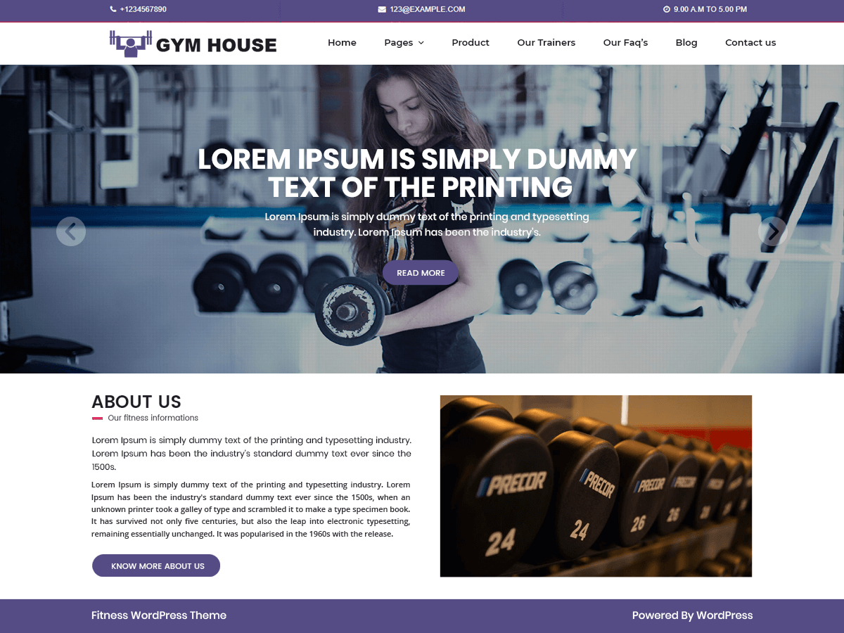 Wordpress-Fitness-And-Gym-テーマ