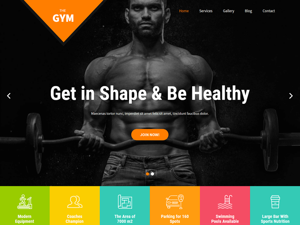 Wordpress-Fitness-And-Gym-テーマ