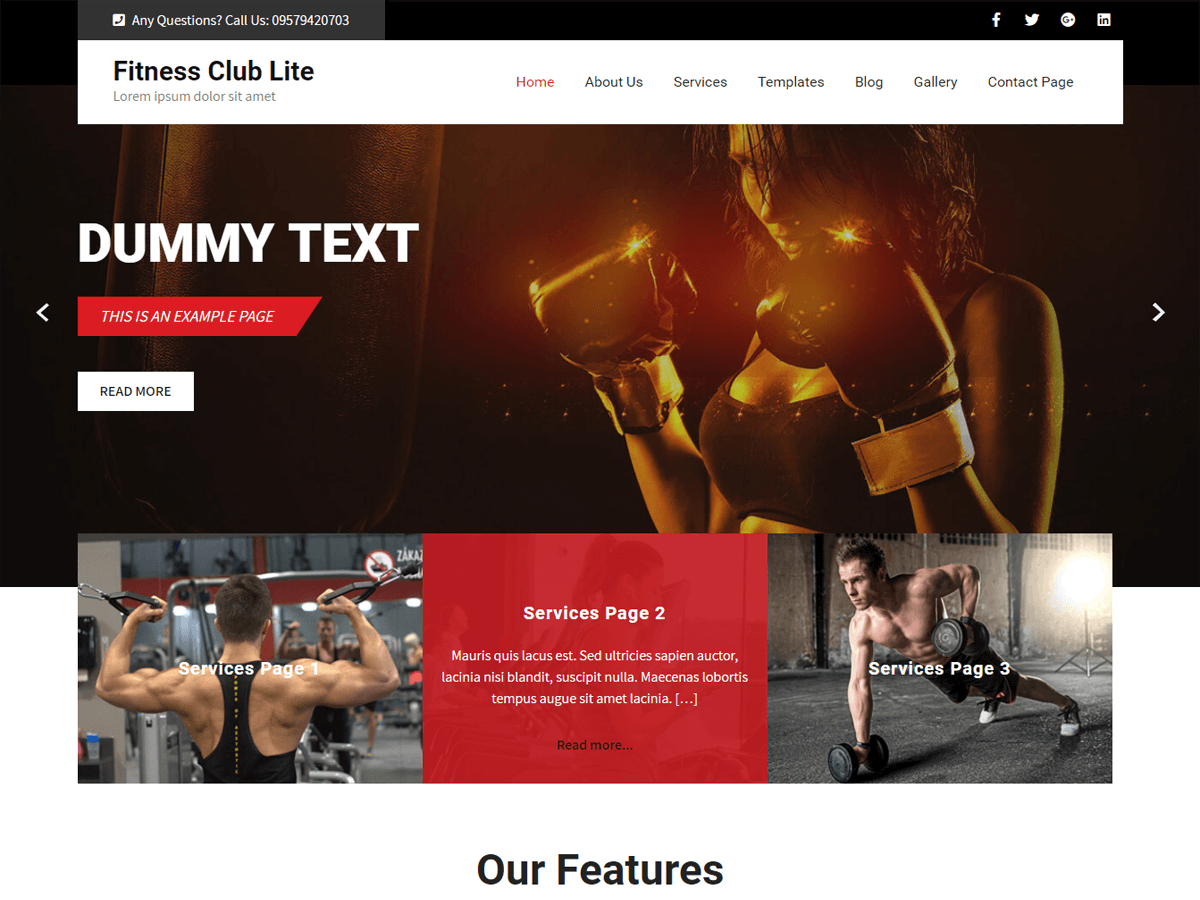 Wordpress-Fitness-And-Gym-テーマ