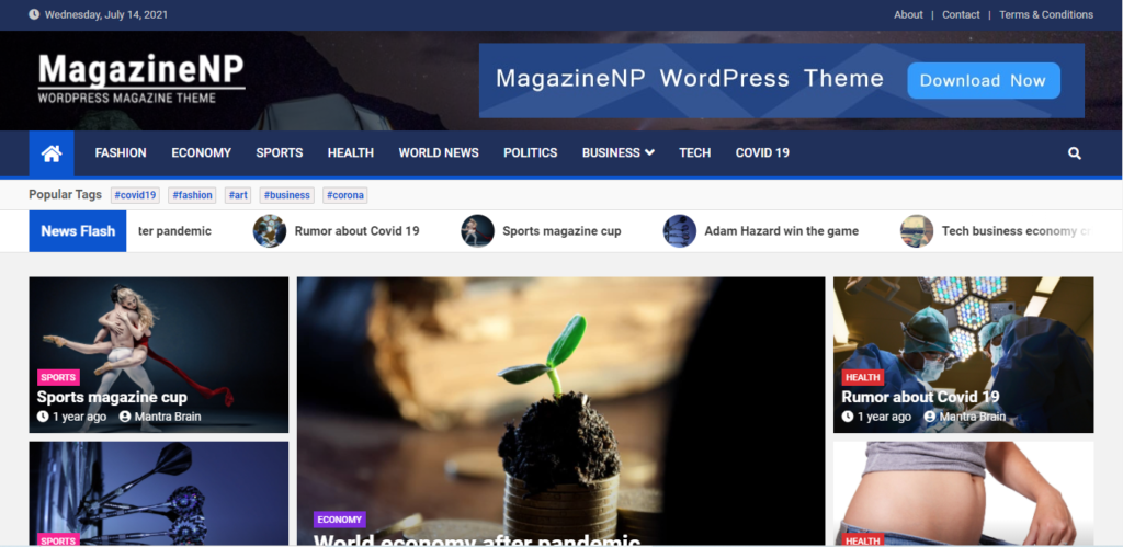 Temi per riviste Wordpress 16