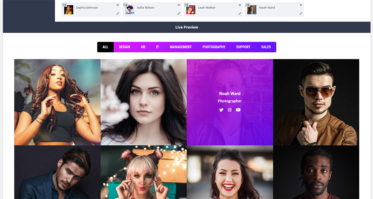 Team Grid WordPress 团队插件