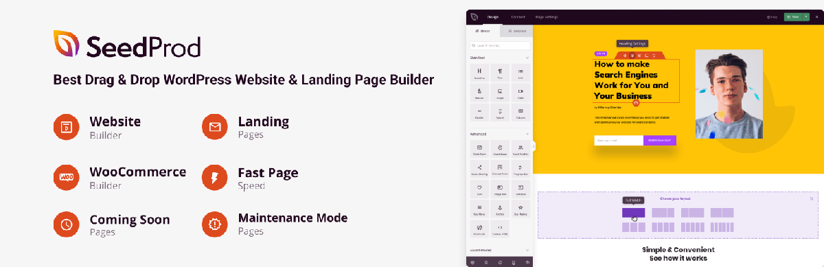 seedprod WordPress 数字营销插件