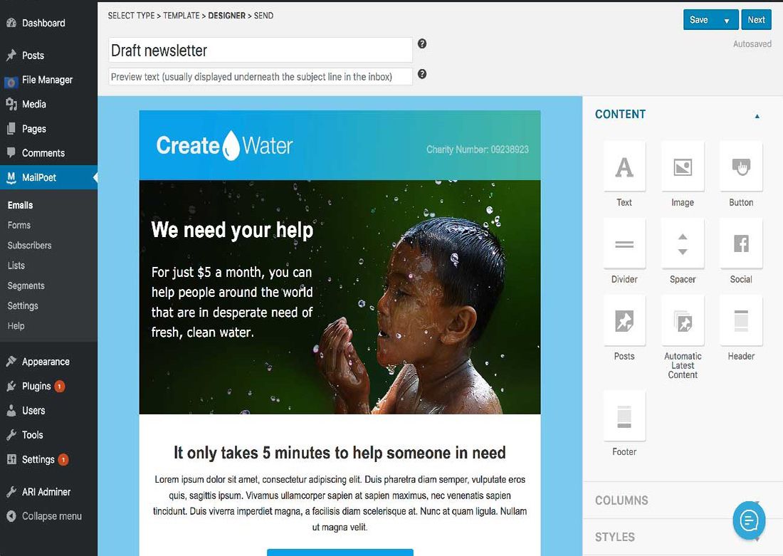 Zorganizowane wtyczki subskrypcji e-mail WordPress