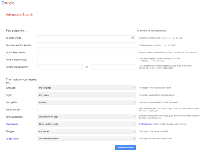 Google Gelişmiş Görsel arama motorunun ana sayfası.