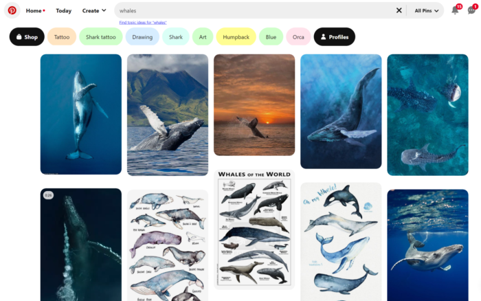 Pinterest arama motorunun ana sayfası.