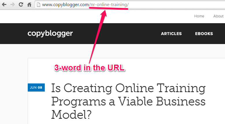 페이지에 대한 Copyblogger의 기본 URL 구조를 살펴보세요.