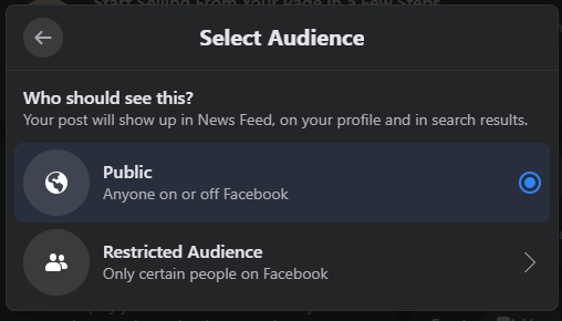 Jemand, der in seinen Targeting-Optionen auf Facebook „Öffentlich“ auswählt.
