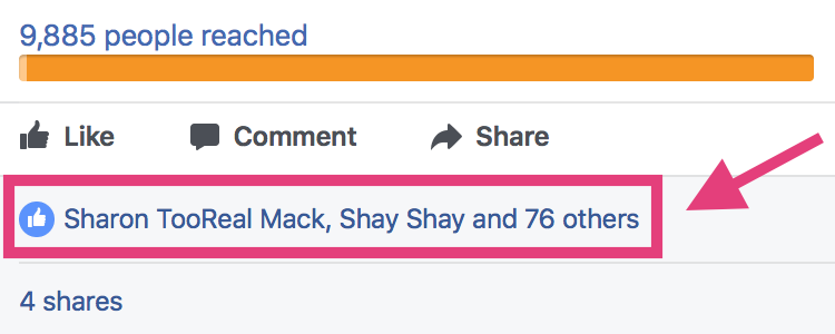 Eine Gruppe von Namen von Personen, die einen Facebook-Beitrag mit „Gefällt mir“ markiert haben.