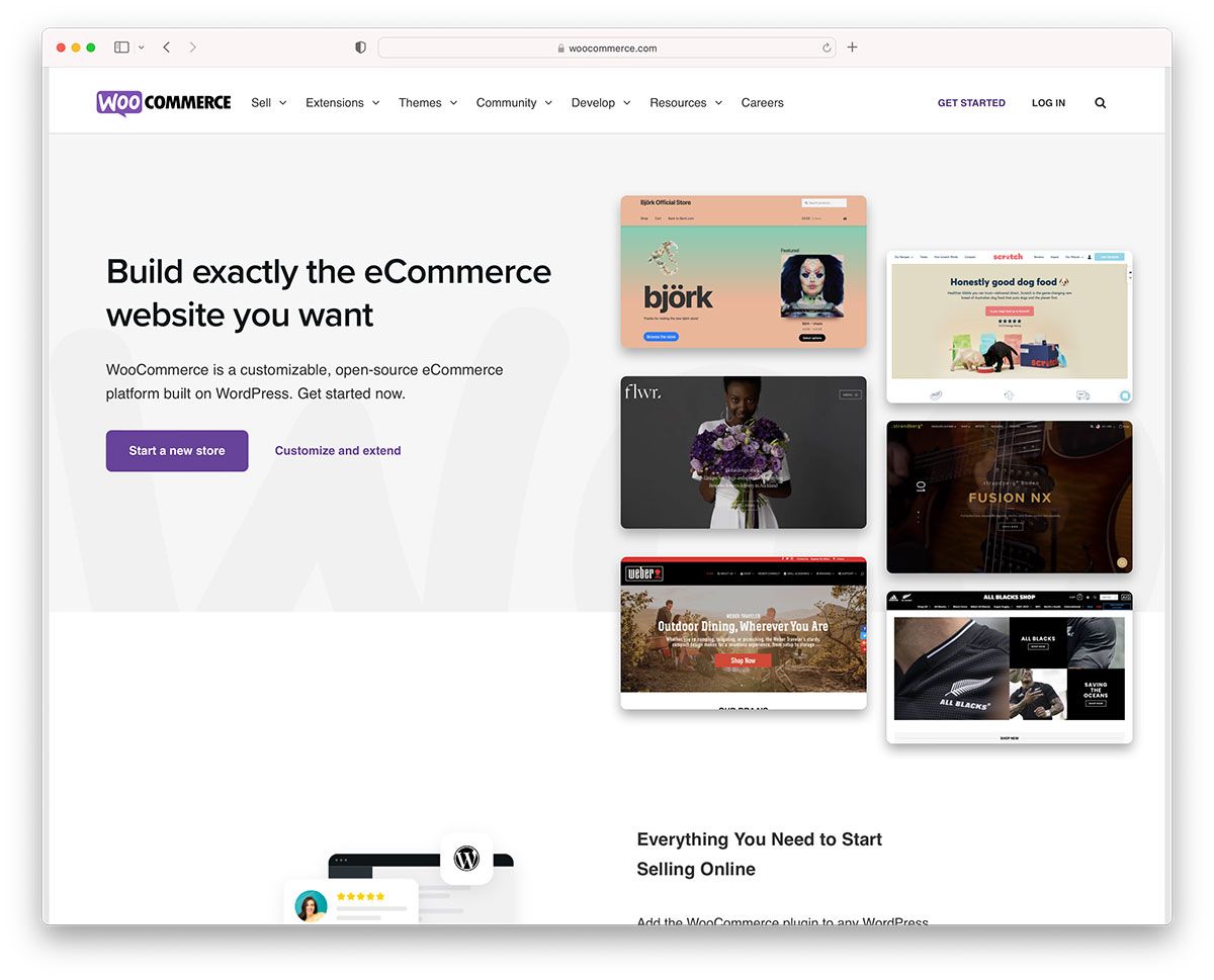 WooCommerce-Website-Design