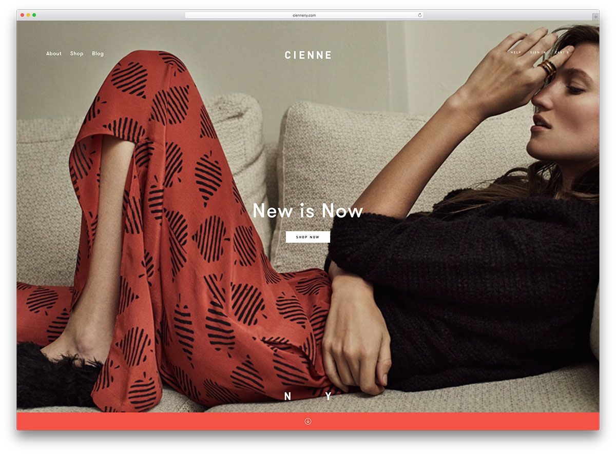 cienny-fullscreen-wordpress-website