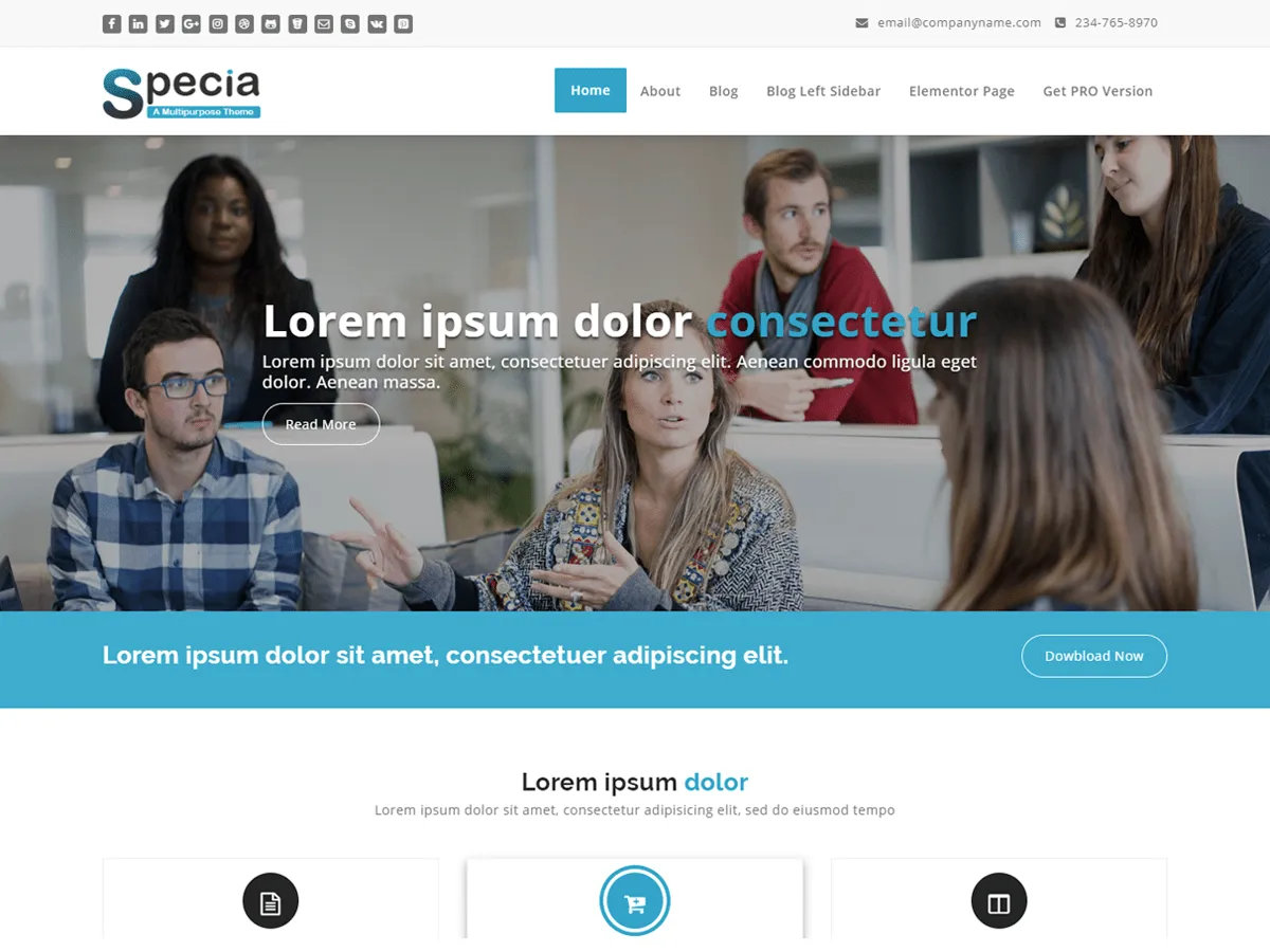 Tema especial do WordPress