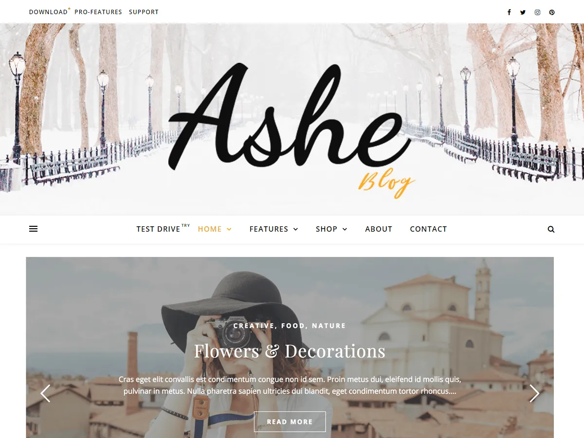 ashe-mejor-blog-tema