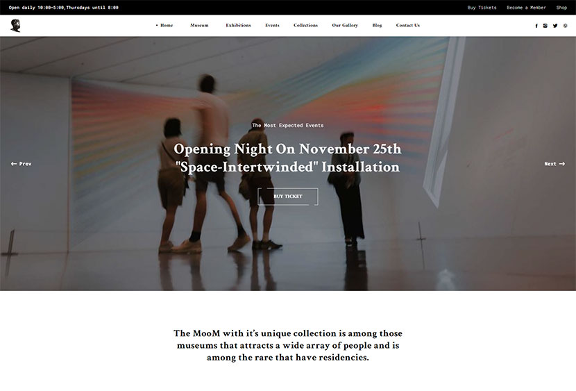 Mooseoom - Galerie d'art, musée et exposition WordPress